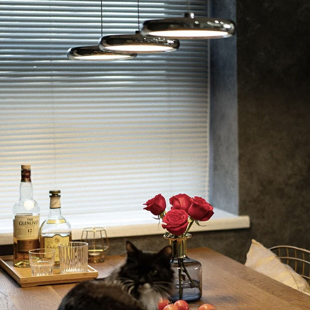 Arisha Minimalist Circular Metal Pendant Light,Silver/Gold/Rose Gold