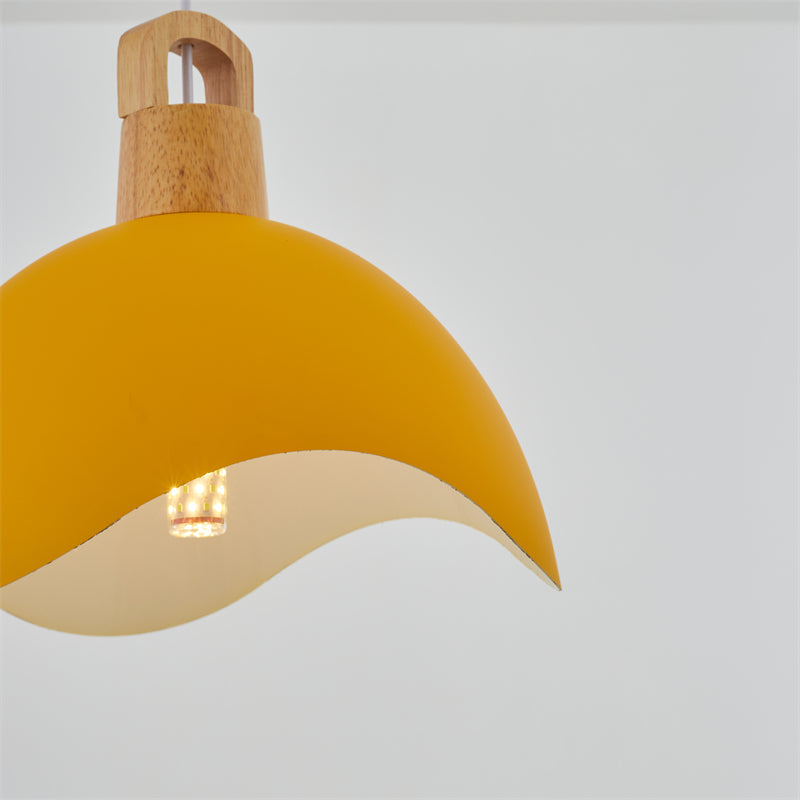Valentina Colorful Shade Single Pendant Lights, Wood & Metal