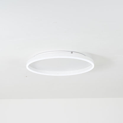 Olen Flush Mount Ceiling Light