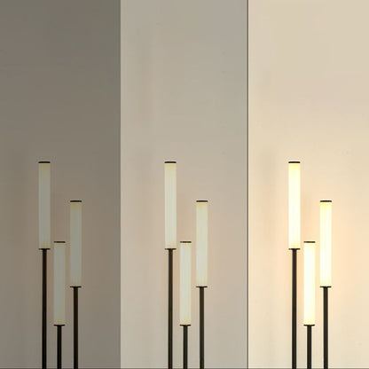 Eryn Modern 3 head Black Metal Arcylic Floor Lamp