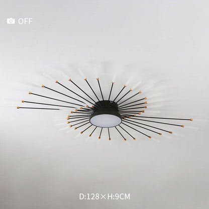 Wesley Modern Home Decoration Fireworks LED Ceiling Light