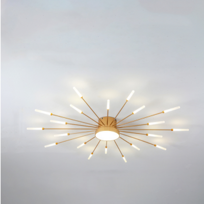 Wesley Modern Home Decoration Fireworks LED Ceiling Light