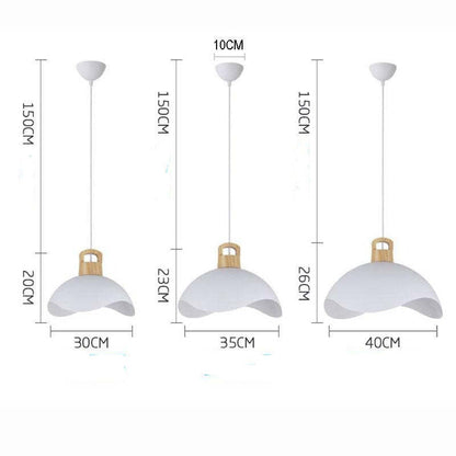 Valentina Colorful Shade Single Pendant Lights, Wood & Metal
