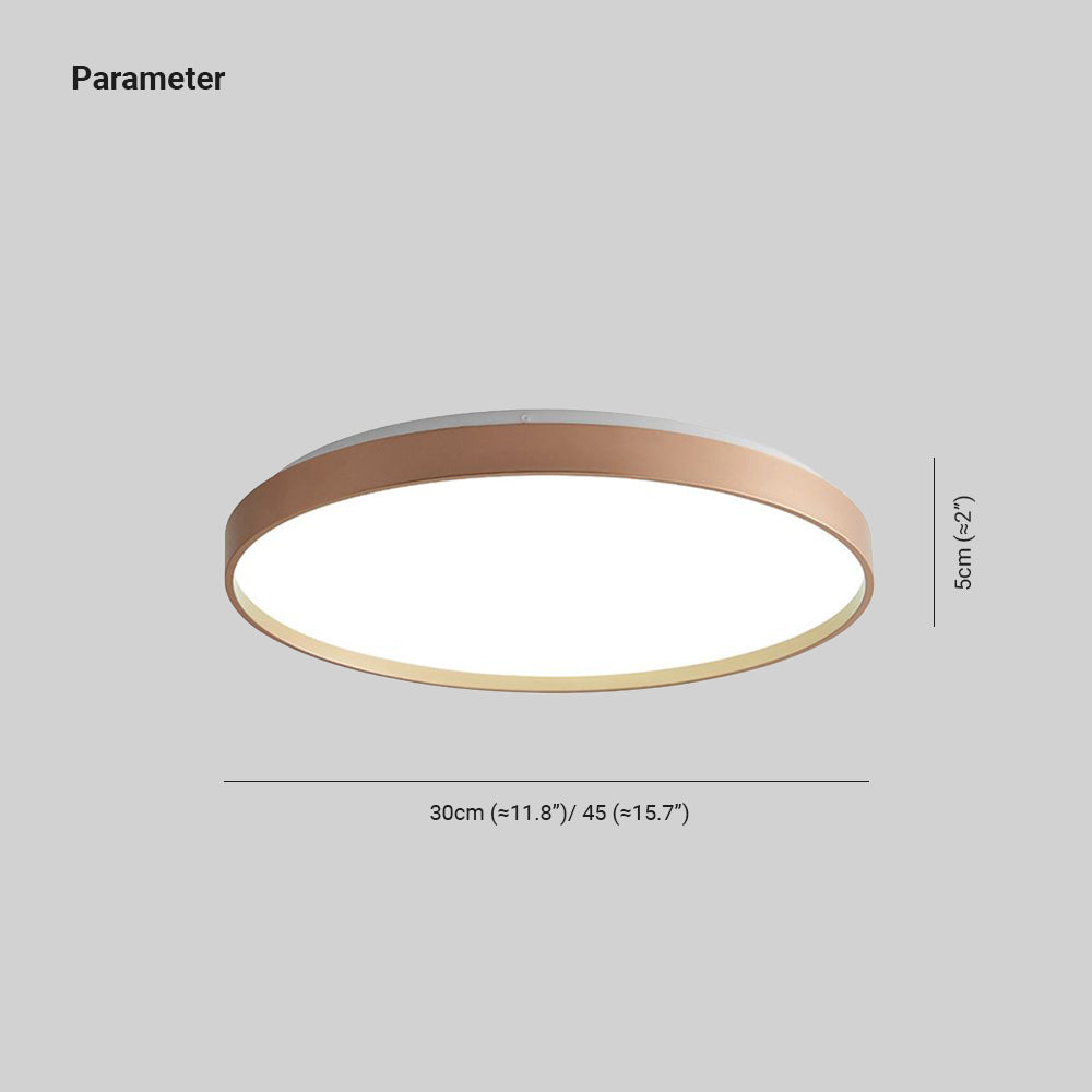 Arisha Minimalist Round Metal/ Flush Mount Ceiling Light, White/Coffee/Grey/Gold