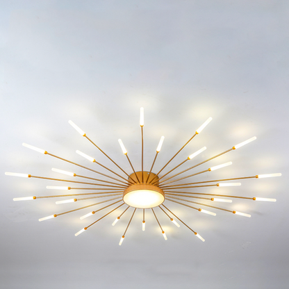 Wesley Modern Home Decoration Fireworks LED Ceiling Light