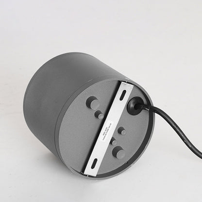 Ray Modern Black Cylindrical Flush Mount Ceiling Light Spotlight