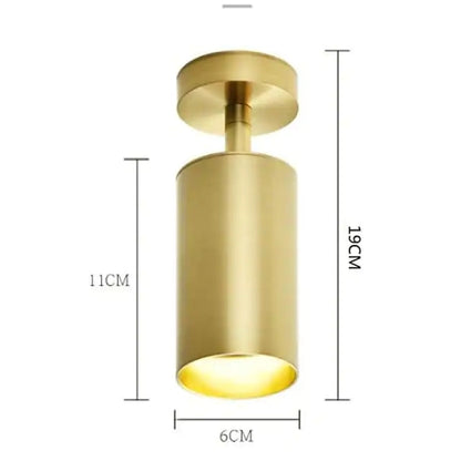 Aria Moderno Gold Cylinder Spotlight Background Flush Mount Ceiling Light, Metal