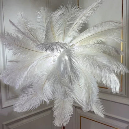O'Moore Modern Natural Ostrich Feather Gold-plated Floor Lamp