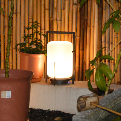 Ray Minimalist Glass/ Outdoor Landscape Pathway Light, White