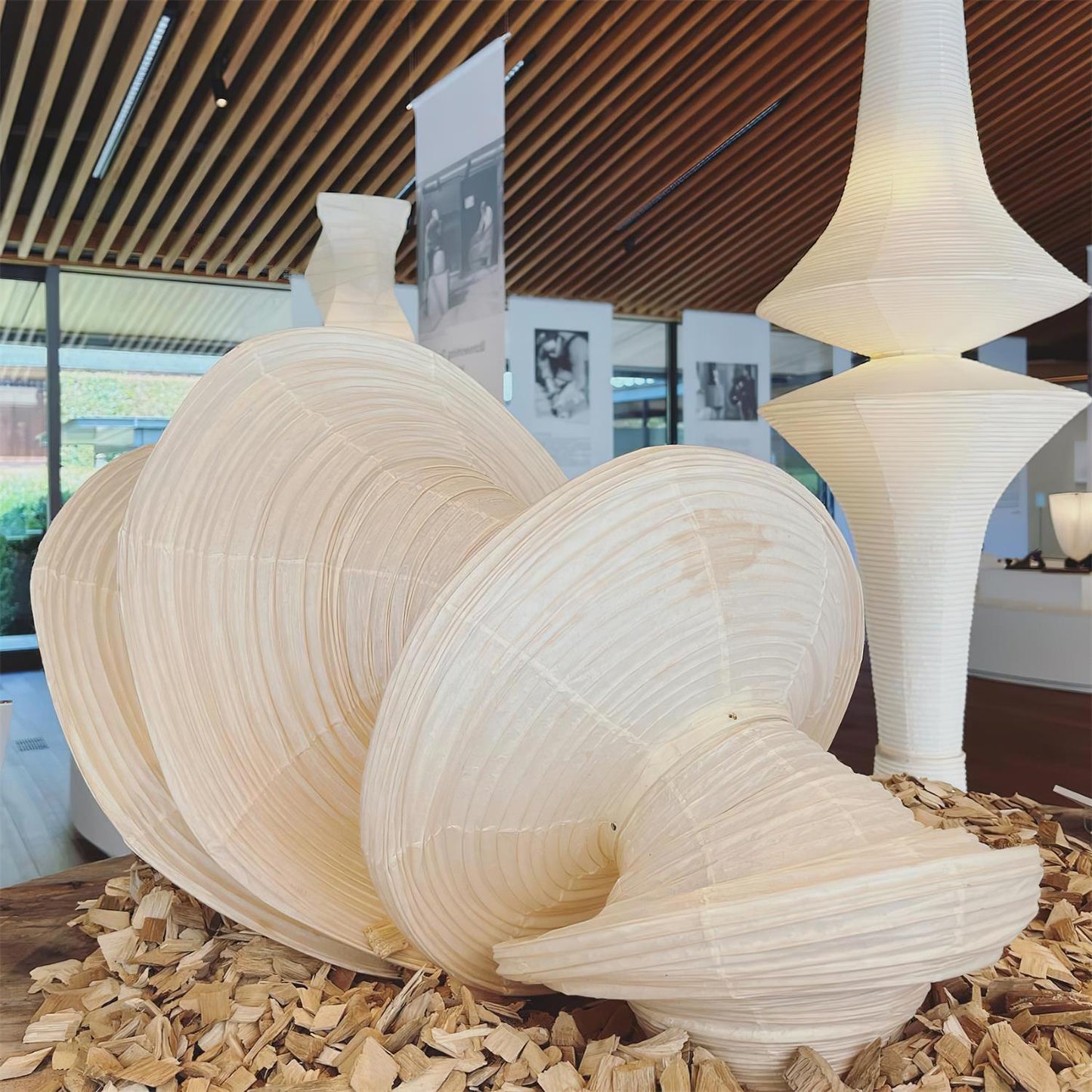 Zyora Sculptural Paper Pendant Lamp