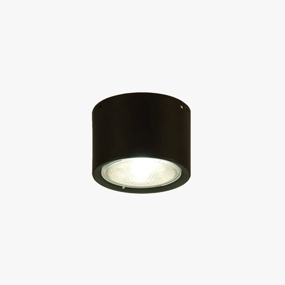 Plafonnier rond moderne Arisha, bois/noir, salon