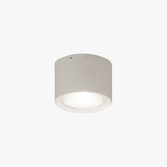 Arisha Modern Round Flush Mount Ceiling Light, Wood/Black, Living Room
