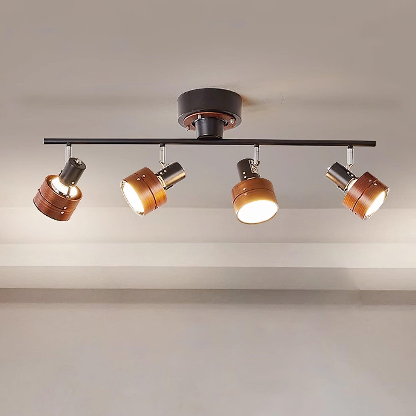Daven Adjustable 4-Light Track Spotlight
