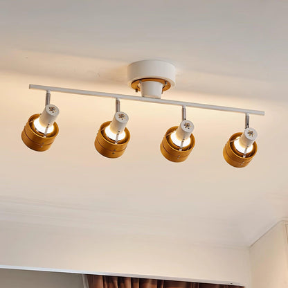 Daven Adjustable 4-Light Track Spotlight