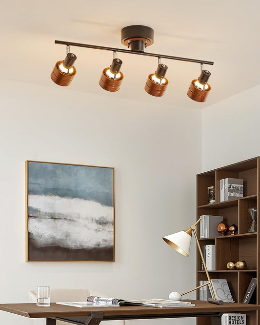Daven Adjustable 4-Light Track Spotlight
