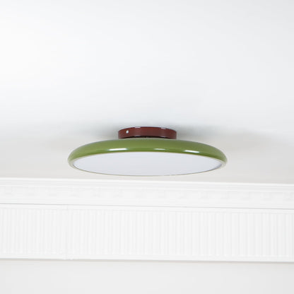 Fyne Adjustable Ceiling Light Colorful for Bedroom