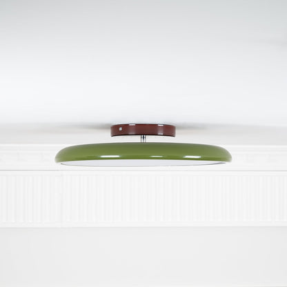 Fyne Adjustable Ceiling Light Colorful for Bedroom