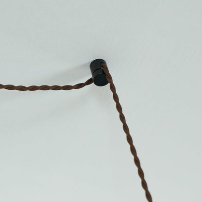 Charlotte Pendant Light 2 Style