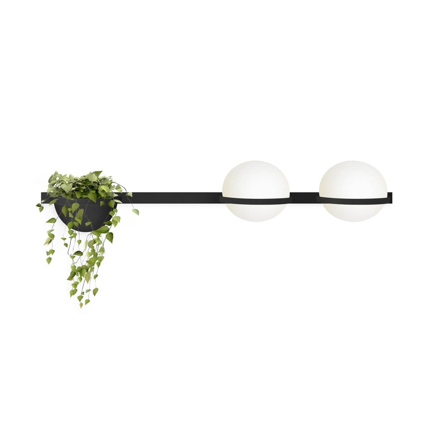 Ray Indoor  Outdoor Wall Light