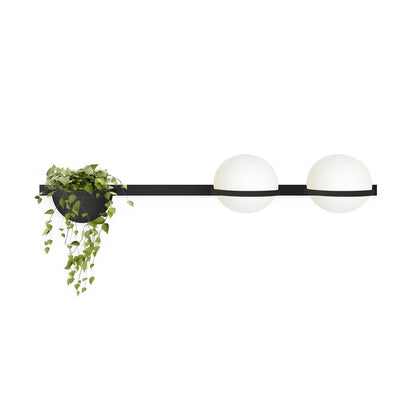 Ray Indoor  Outdoor Wall Light