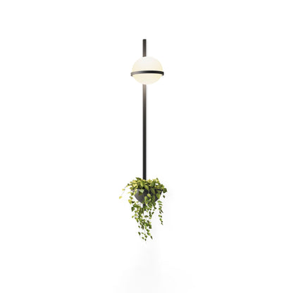 Ray Indoor  Outdoor Wall Light