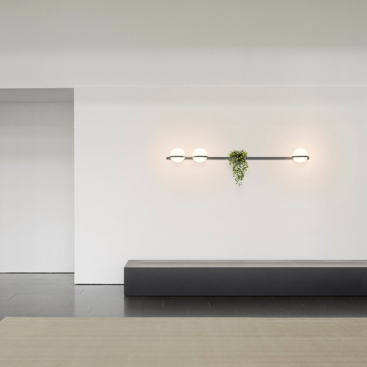 Ray Indoor  Outdoor Wall Light
