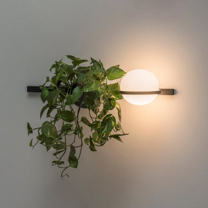 Ray Indoor  Outdoor Wall Light