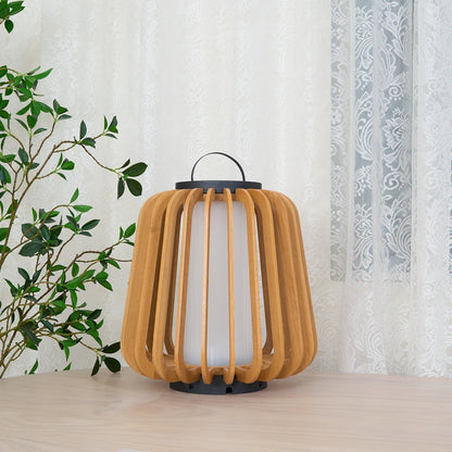 Ray Portable Lantern Outdoor Light
