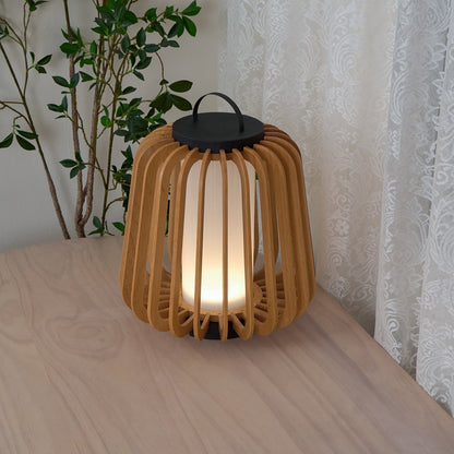 Ray Portable Lantern Outdoor Light