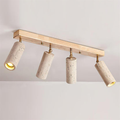 Navine 3-Light Adjustable Ceiling Spotlight