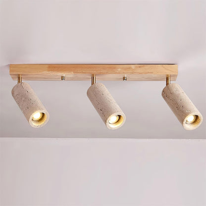 Navine 3-Light Adjustable Ceiling Spotlight