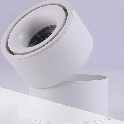 Thyn Round Rotatable Ceiling Light Spotlight