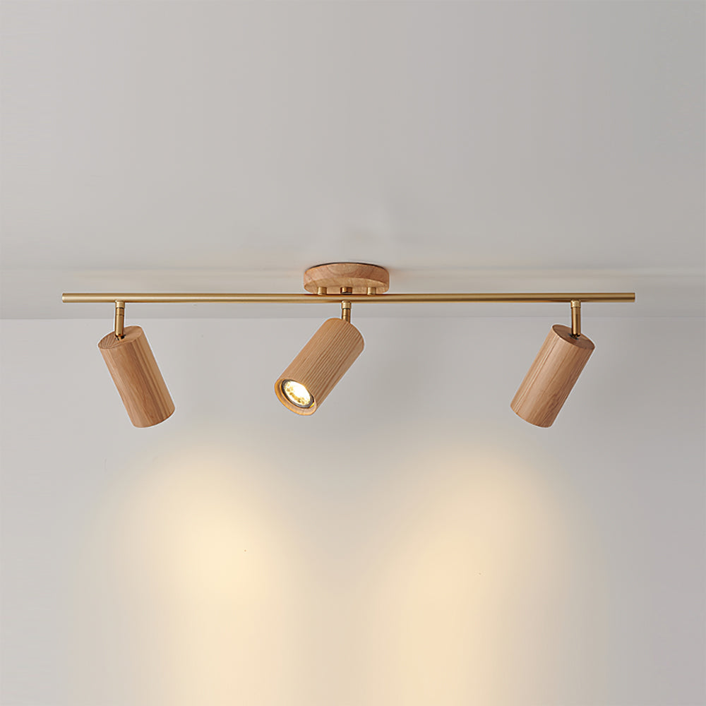 Spot de plafond Arthur