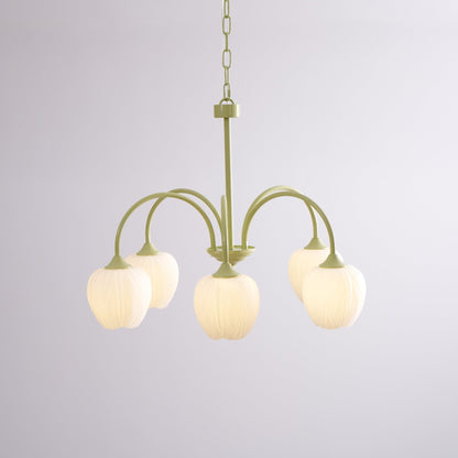Tulip Fresh Chandeliers Glass