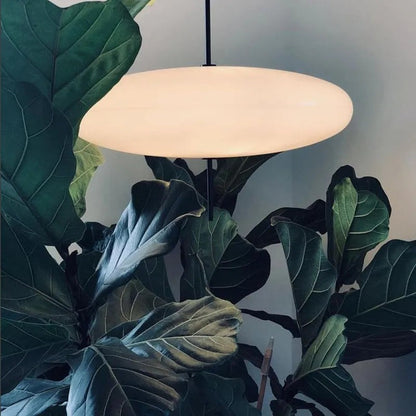 Quor Nordic Modern Oval Single Pendant Light